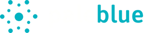 Paleblue Logo